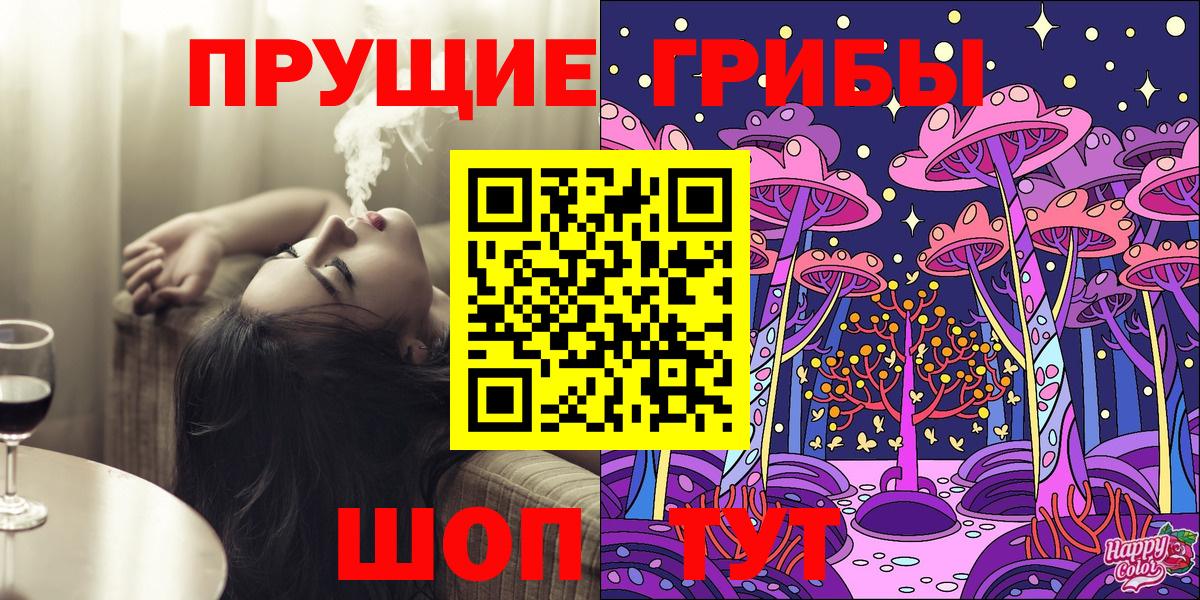 Псилоцибиновые грибы Psilocybe  Вход с VPN  Вязники 