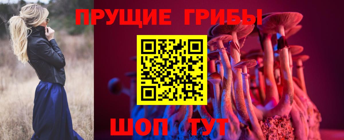 Псилоцибиновые грибы GOLDEN TEACHER Вязники