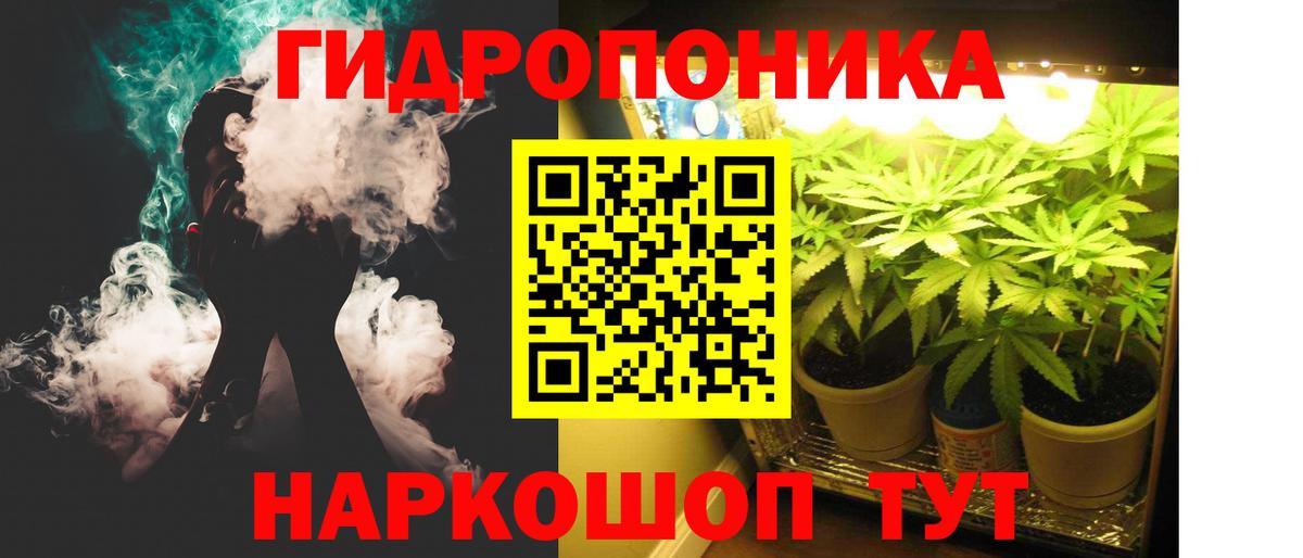 Каннабис индика Вязники